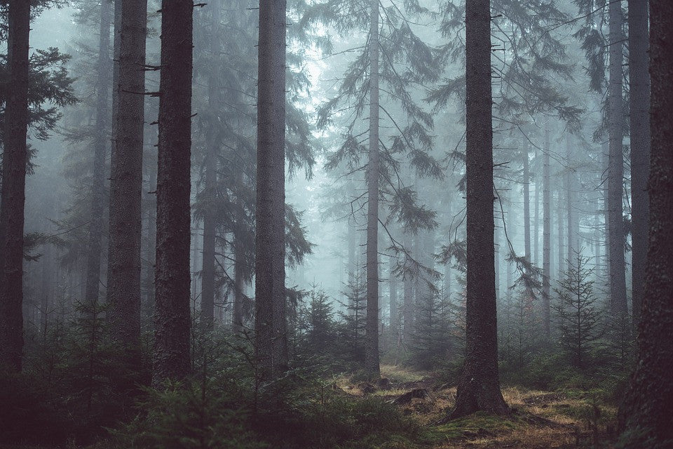 If you build a product in a forest, will anyone see it?